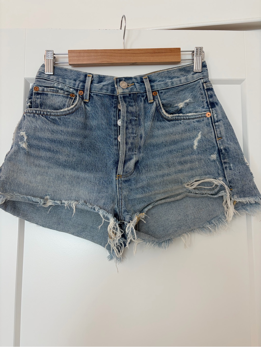 Agolde Jaden Shorts